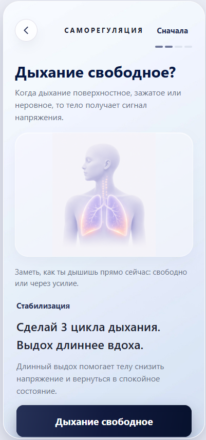 Экран саморегуляции STATE